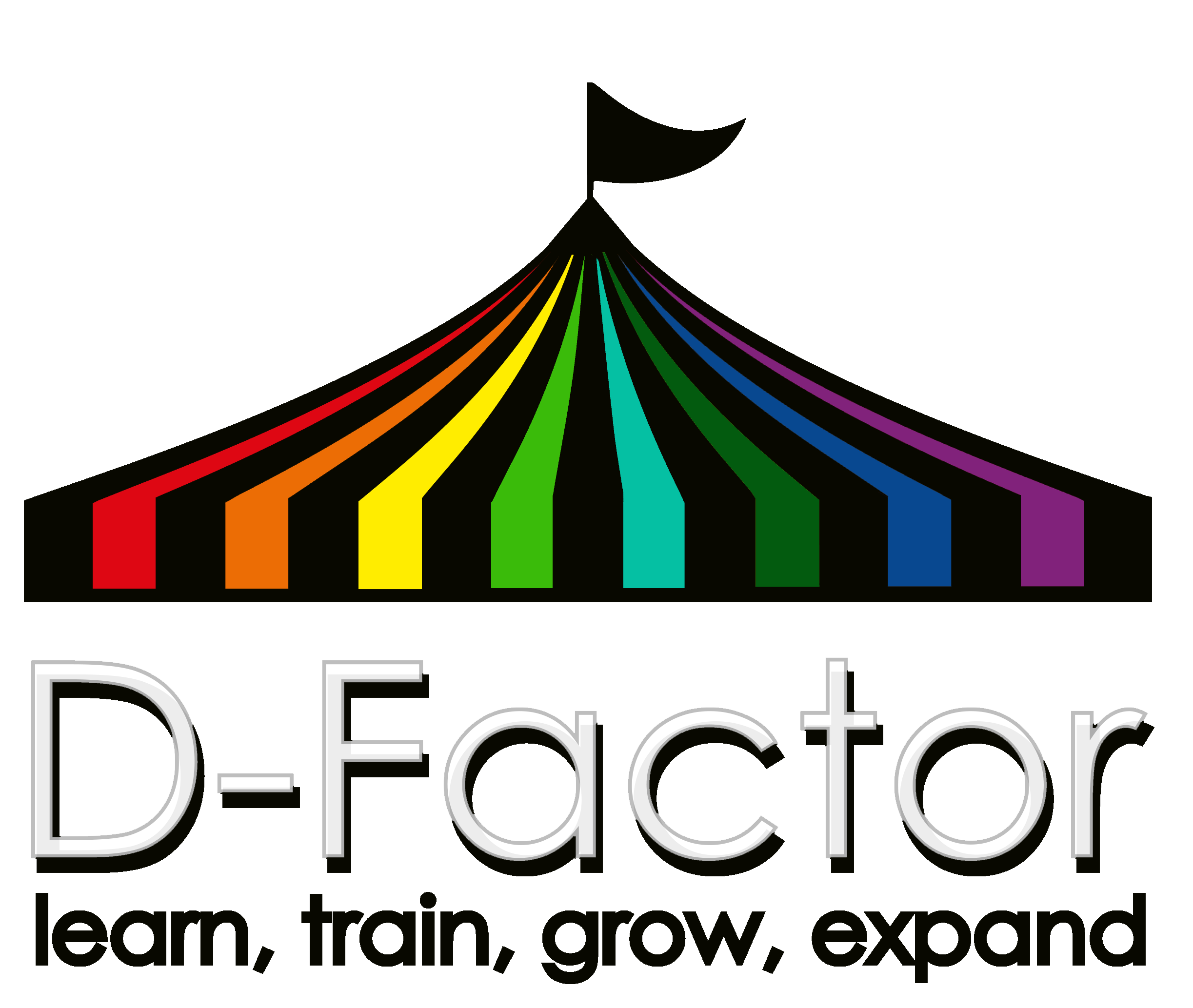 D-Factor Logo